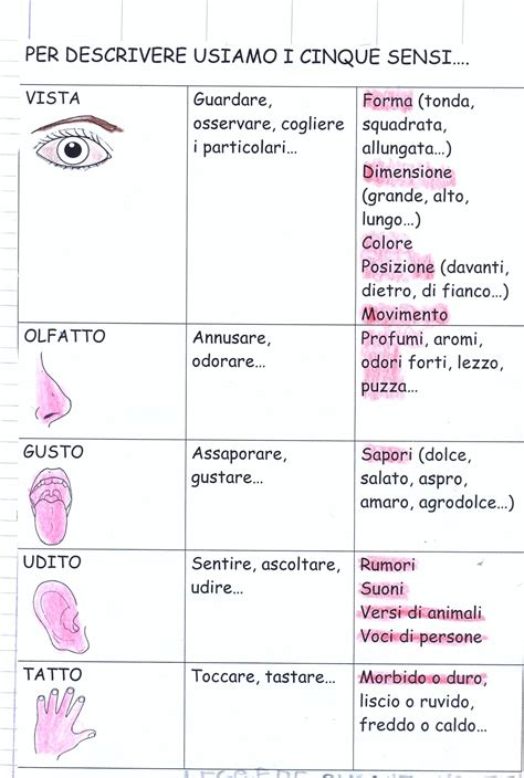 Schema Guida Per Descrivere Una Persona