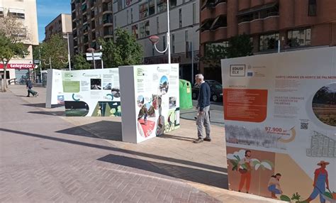 Exposici N Edusi Ayuntamiento De Elche