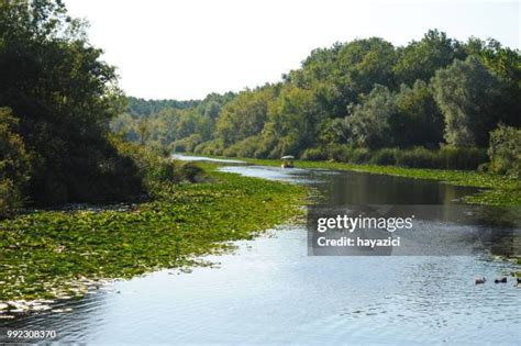 Floodplain Lake Photos And Premium High Res Pictures Getty Images