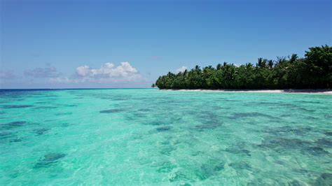 Clear water on the beach of the Maldives 48956740 Stock Video at Vecteezy