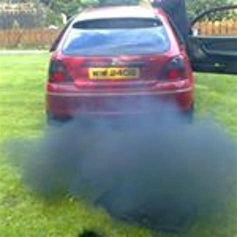 stream reeky rover kingobviously walker  listen  songs