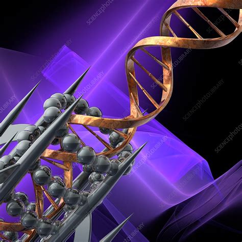 Dna Molecule Illustration Stock Image F020 1367 Science Photo