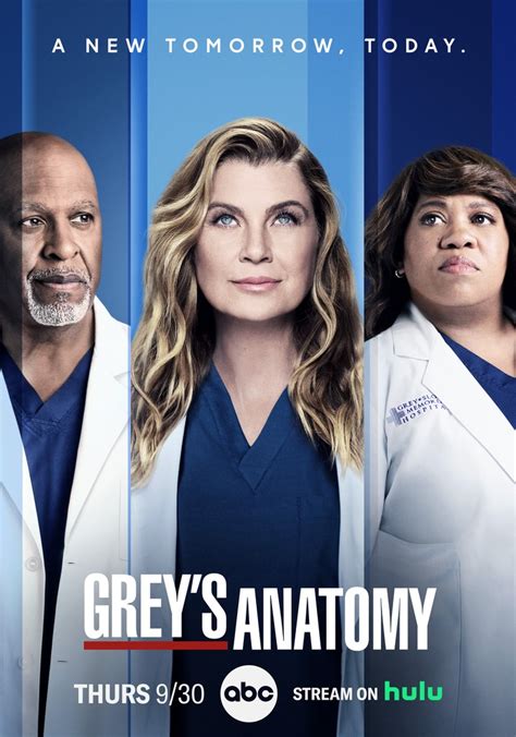 Grey S Anatomy Stagione Streaming Online