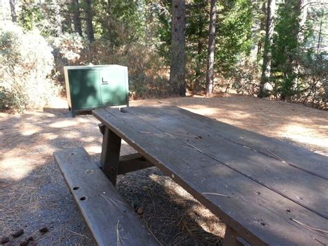 Camp Spot At Shirt Tail Campground At Sugar Pine Reservoir Forest Hill Ca Forest Hill