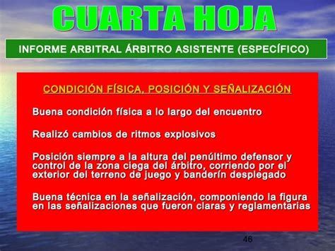 El Informe Arbitral