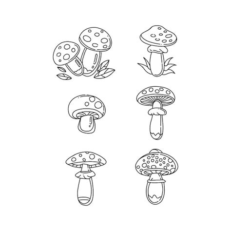 Premium Vector Mushroom Handrawn Doodle Illustration Vector Set