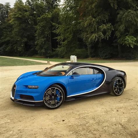 Bugatti Chiron | Dream cars, Cool cars, Bugatti