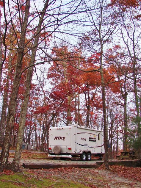 Ash Grove Mountain Cabins & Camping - 4 Photos - Brevard, NC