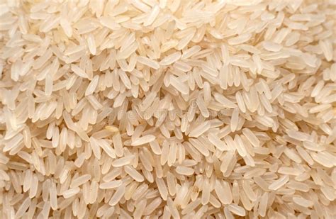 Rice. Raw Rice Grains in Close-up. Healthy and Balanced Nutrition Stock ...