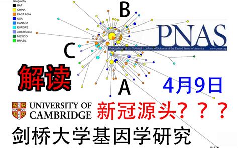 解读 剑桥大学 新冠病毒 基因学研究 A？b？c？哔哩哔哩bilibili