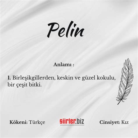 Pelin Sminin Anlam Nedir Siirler Biz