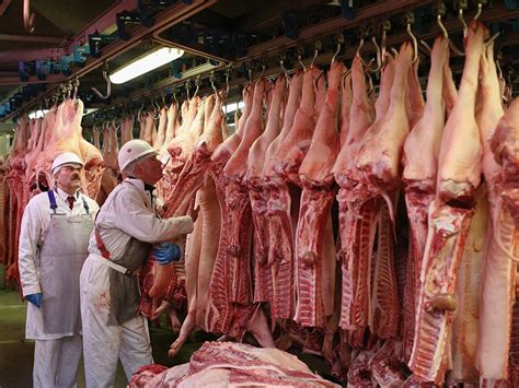 Consumo Eccessivo Di Cibi A Base Di Carne Impatti Sulla Salute