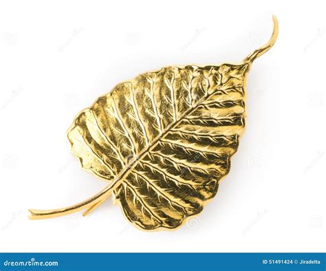 Bodhi Leaf From The Bodhi Tree Royalty-Free Stock Photo | CartoonDealer ...