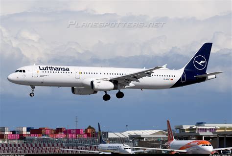 D Aidc Lufthansa Airbus A Photo By Rui Marques Id