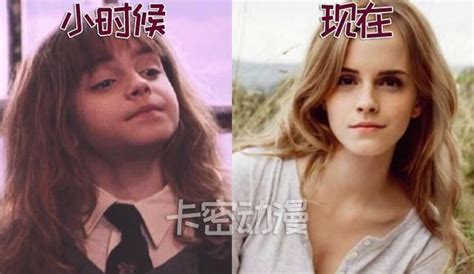 19年后《哈利波特》的演员们现在的样子，哈利波特长残了！