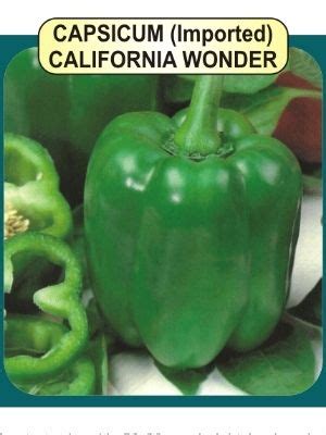 Capsicum Seeds at Best Price in Guwahati, India - Manufacturer and Supplier