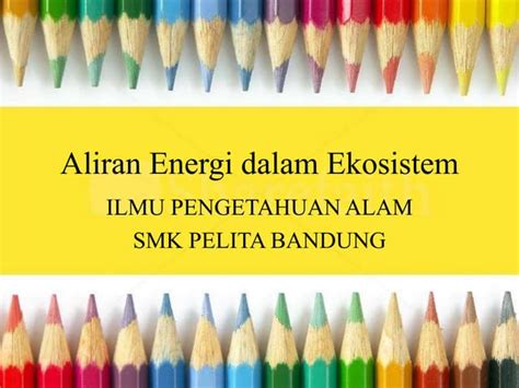 Aliran Energi Dalam Ekosistem Ppt