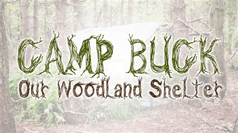 Our Woodland Shelter Camp Buck Bushcraft Youtube