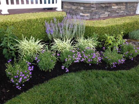 garden design with perennials