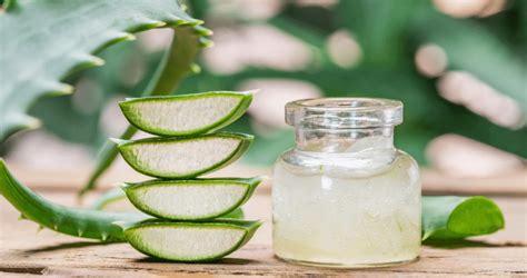 The Efficacy Of Aloe Vera In Treating Skin Inflammation Heidi Salon