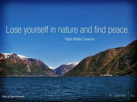 Lose Yourself in Nature and Find Peace