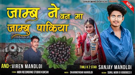 Singer Sanjay Mandloi Aadivasi New Timli