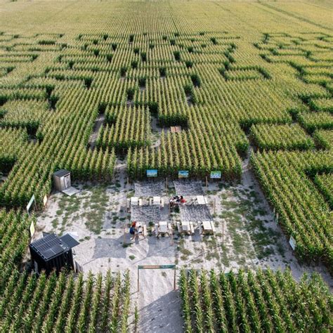 Pop Corn Labyrinthe L Aventure Grandeur Nature Dans Le Val D Oise