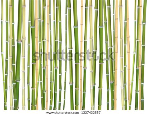 Bamboo Sticks Vector Background Illustration Design Stock Vector ...