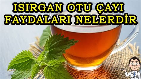 Isirgan Otu Faydalari Is Rgan Otu Nas L Kullan L R Ve Zararlar