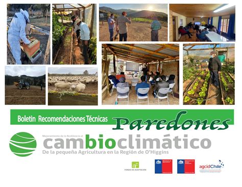 Recomendaciones T Cnicas Paredones Mesas Agroclimaticas Participativas