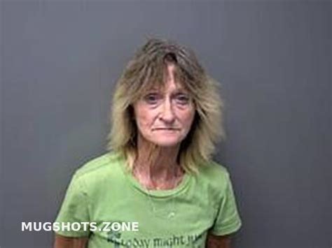 CHRISTINE ADELE SHELTON 04 09 2024 Baxter County Mugshots Zone