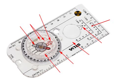 Compass Diagram Quizlet