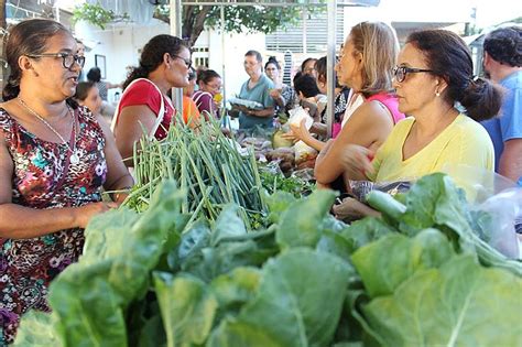 Feiras orgânicas e agroecológicas são opções de alimentos sem Geral