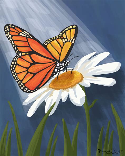 Butterfly and Daisy by Pingonaut on DeviantArt