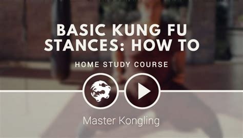 Introduction - Basic Kung Fu stances: how to - 6DRAGONSKUNGFU.COM