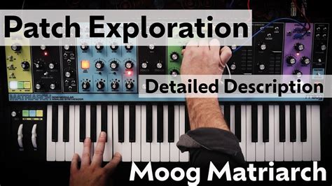 Moog Matriarch Patching Idea With Explanation Complex Evolving Pad