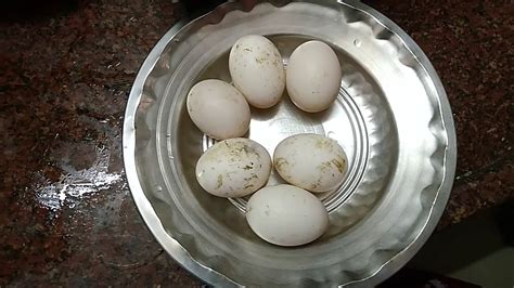 Health Benefits Of Duck Egg Info வாத்து முட்டை பயன்கள் Eggs Information About Duck Egg