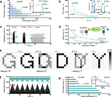 Short Term Plasticity In Li And Na GASs A Peak Value Of The