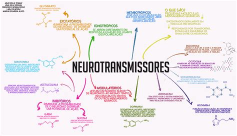 Neurotransmissores Mapa Mental Psicofisiologia Kulturaupice The Best