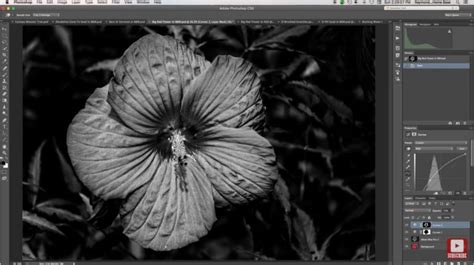 Using Texture to Create Black and White Photography You'll Want to Touch