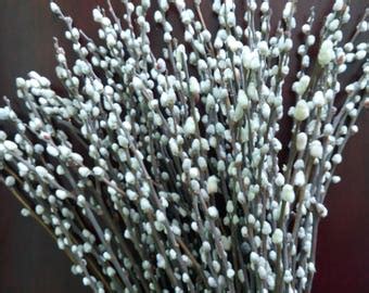 Pussy Willow Etsy