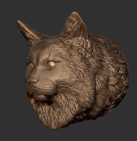 Maine Coon Head 3d Model 3d Printable Cgtrader