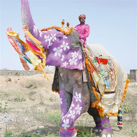 Share more than 138 indian elephants decorated for festivals super hot ...