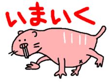 Naked Mole Rat By Oshimuchi Sticker 3642148