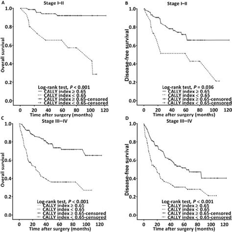 Survival Curves For Stratification In Accordance With The Cally Index