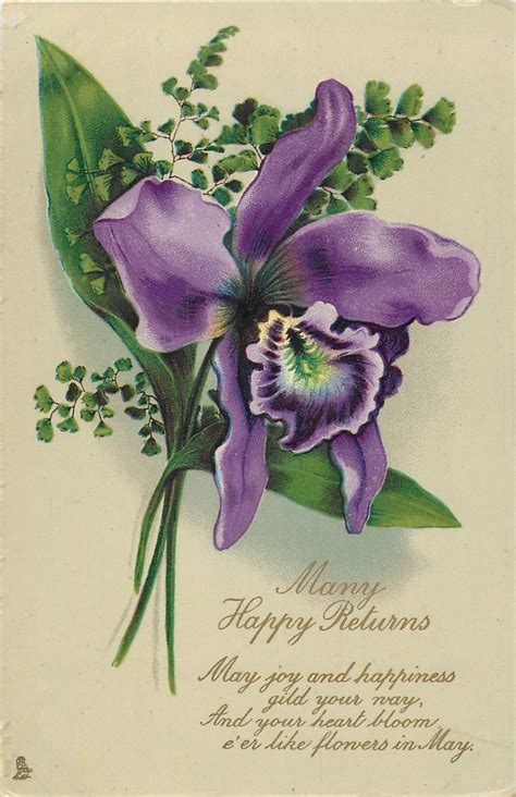 Many Happy Returns Orchid Facing Right Carte Postale Ancienne Et Vue