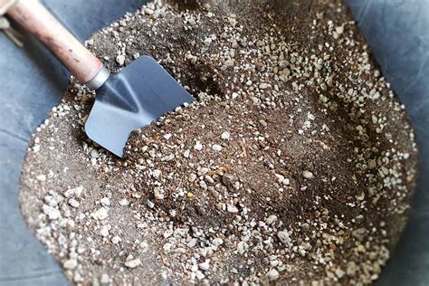 How To Make Your Own Cactus Potting Soil Gardener S Path