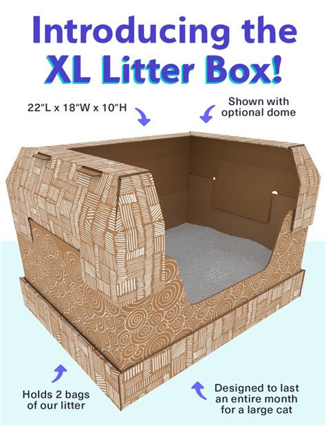 Kitty Poo Club Releases XL Litter Box For Larger Kitties! - Hello Subscription