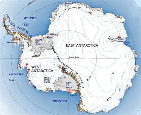 What will happen to Antarctica if the West Antarctica ice sheet melts ...