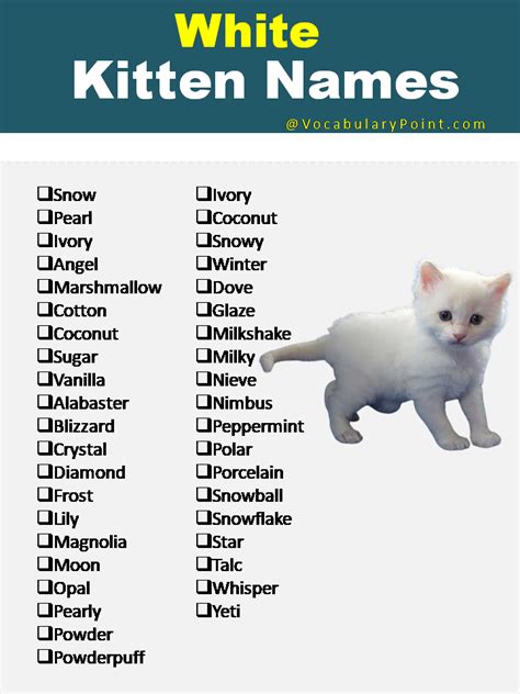 270+ Funny and Cute Names for Kittens 2024 - Vocabulary Point